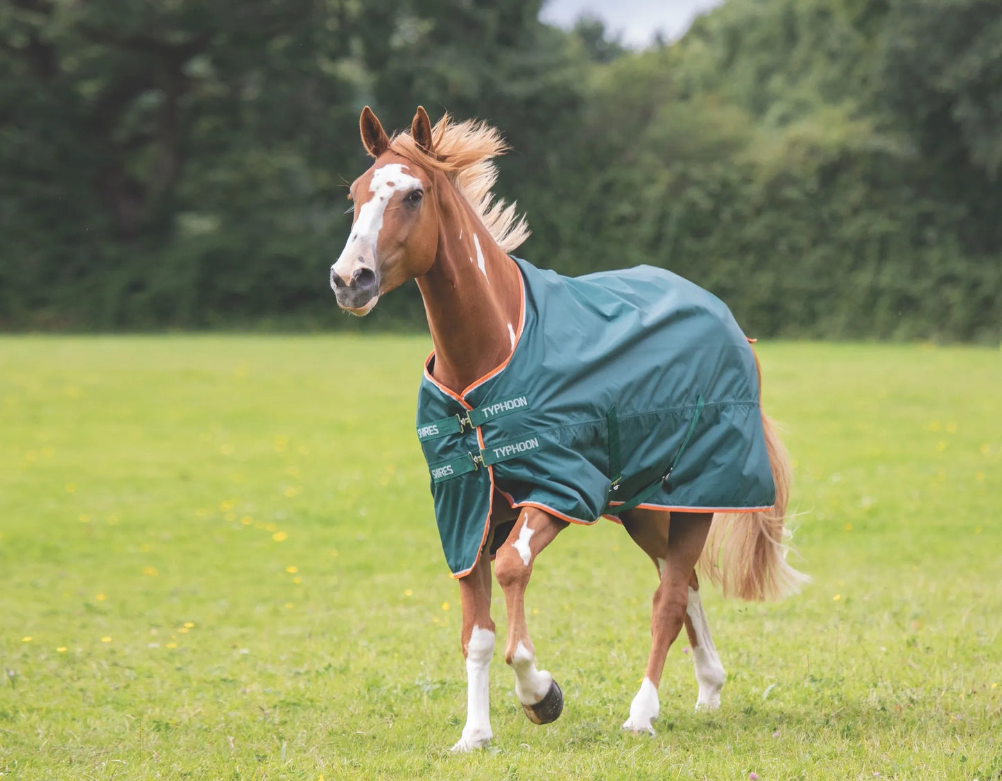Shires Typhoon Lite 0G Blanket